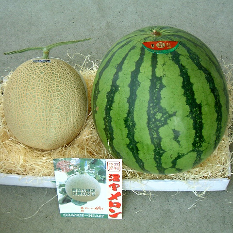 すいか、めろん、スイカ、メロン、西瓜、melon