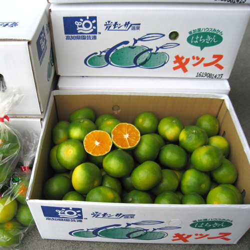 ビニール入りはビニールのまま、箱に入れてお届けします。