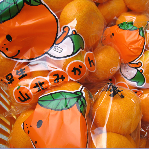 700g袋入のおおよそのイメージ